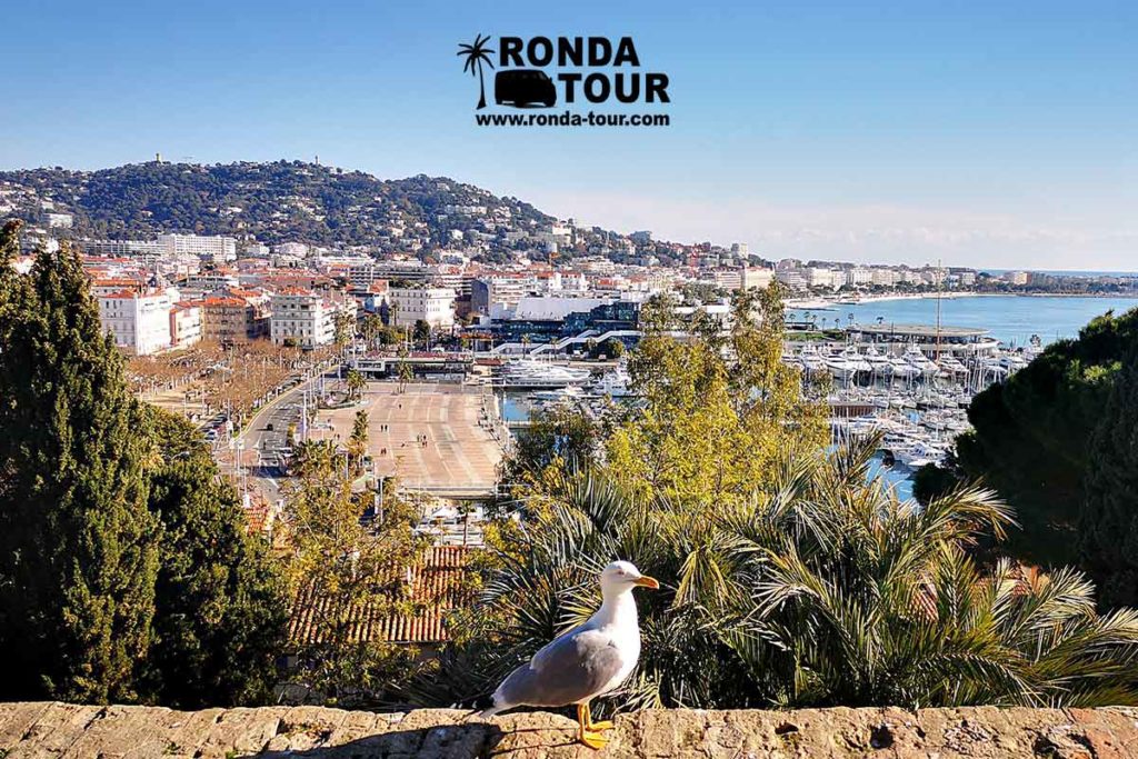 Vue du port de Cannes depuis les hauteurs avec un gabian en premier plan. Filigrane avec le logo de Ronda Tour et son adresse web www.ronda-tour.com sur la photo.